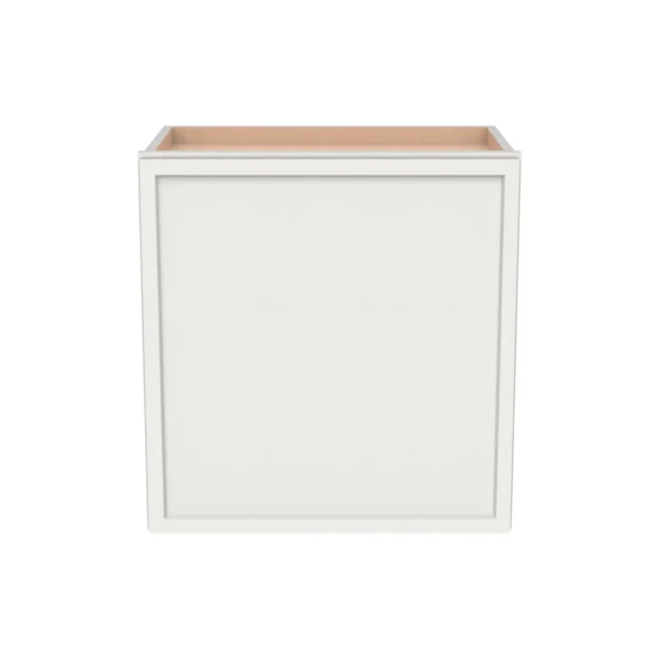 12" H Single Door Wall Cabinet