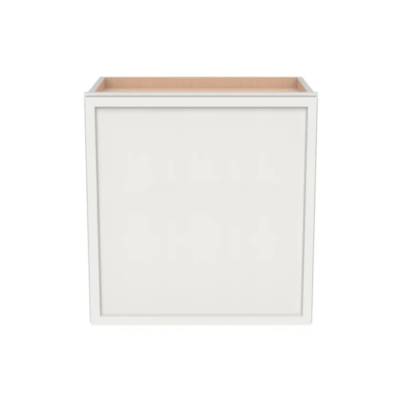 12" H Single Door Wall Cabinet