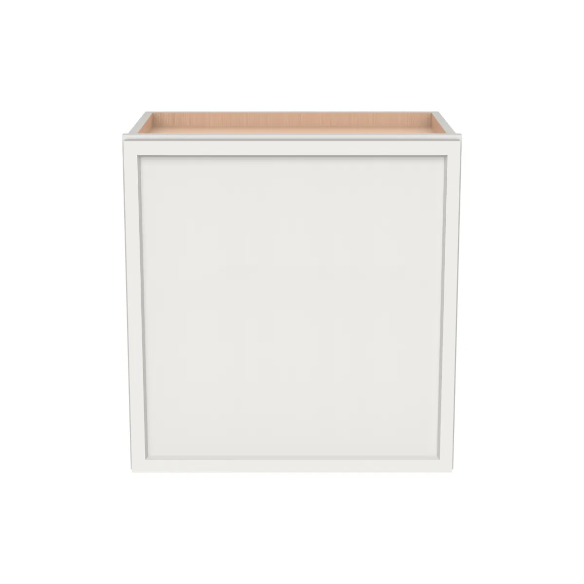 12" H Single Door Wall Cabinet