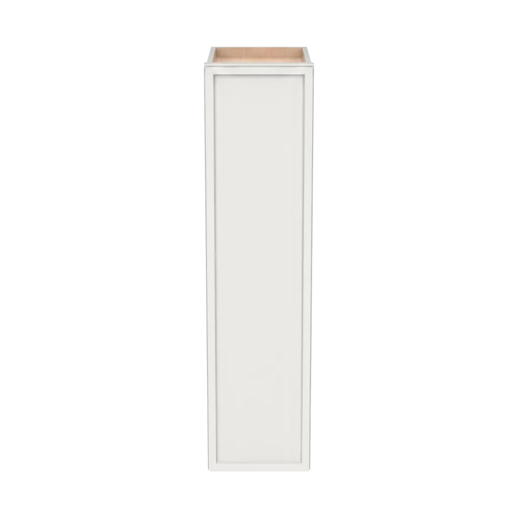 42"H Single Door Wall Cabinets